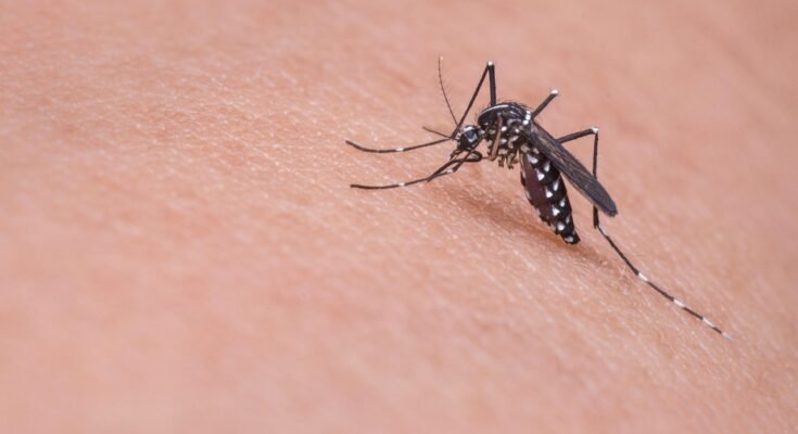 MALARIA: A Preventable and Curable Disease